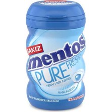 Esranın Dünyası Pure   Nane Aromalı Draje Sakız 90GR 1 Adet