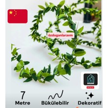 Dogant Dekoratif Yapraklı 7 Metre Süs Çiçek – Dış Mekan Sarmaşık Bitkileri