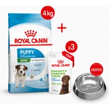 Royal Canin Mını Puppy -Yavru Kuru Köpek Maması 4kg + Yavru Ödül Maması 3x +