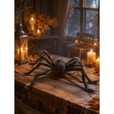 Parti Adresi Cadılar Bayramı Peluş Örümcek Halloween Parti Dekoru Siyah 75 cm