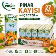 Pınar Meyve Suyu Kayısı 200 ml x 27 Adet