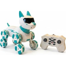 NW NessiWorld SH59964 2.4g Uzak.kum.akrobatik Kedi Köpek
