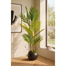Cihan Çiçekçilik Yapay 3 Bambulu Çikas Palmiye Ağacı 150 cm 27*33 Küre Saksılı