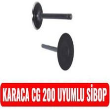 Karaca Cg 200 Uyumlu Sibop Erpilsan Elektronik