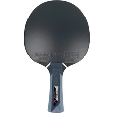 Ayrex Timo Boll Titanium Masa Tenisi Raketi