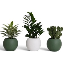 Zevli Japandi Tarzı Modern Küre Saksı 3'lü Set - Su Sızdırmaz Dekoratif Salon ve Balkon Saks�