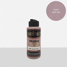 Depposite Premium Boya Açık Gül 120ML N:0250