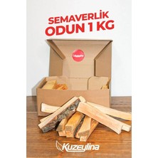 Ayrex Semaverlik Odun 1 kg - 15-17 cm Özel Kutusunda Tek Kullanımlık