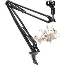 Ayrex Lastvoice NB40 Pro Mikrofon Standı + Shm-02 Metal Shock Mount (50X50 Büyük Boy)