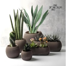 Ayrex Mercan Saksı Set Dekoratif Drenajlı Çizgili Mat (6 Parça, Kahve)