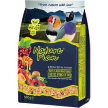Ayrex Nature Plan Meyveli ve Ballı Egzotik Finch Yemi 500GR