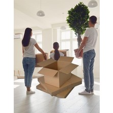 Ayrex Ekolsan 60X40X30 10 Adet Taşıma Kolisi Çift Oluklu Boş Koli, Taşınma Kolisi