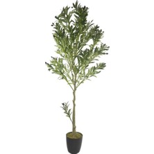 Nettenevime Yapay Zeytin Ağacı Lüks 170CM Doğal Gövdeli Gerçek Görünümlü Yapay Ağaç 1391