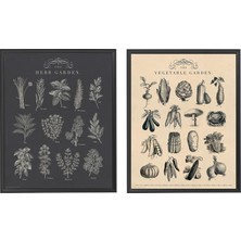 Ikea Çok Renkli Çerçeveli Resim Seti 40X50CM