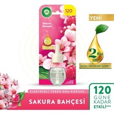 Sungur's Store Elektrikli Oda Kokusu Yedek Şişe Sakura Parfümlü