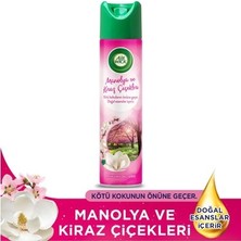 Sungur's Store Aerosol Oda Kokusunda Manolya ve Kiraz Çiçeği