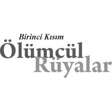 Sungur's Store Kurt Gölü - Edebiyat Romanı, Gizemli Olaylar