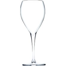 Sungur's Store 600 ml Kapasiteli Şampanya Bardağı ile Şık Ikramlar