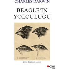 Sungur's Store Beagle'ın Yolculuğu: Hayvanların Dünyası