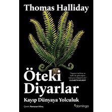 Sungur's Store Kayıp Dünyalara Yolculuk: Gizemli Diyarlar Üzerine