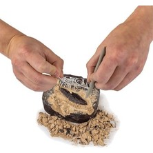Sungur's Store Dino Kazı Kiti, Eğitici Oyun Seti +8 Yaş Için