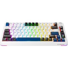Sungur's Store Rgb Gasket Klavye, Hot Swap Özelliği ile Kullanım Kolaylığı