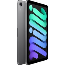 Sungur's Store Apple iPad Mini 128GB 8.3" Wi-Fi Tablet Uzay Grisi