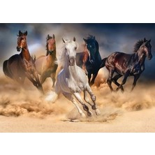 Sungur's Store 1000 Parçalı Yaban Atları Temalı Eğlenceli Yapboz