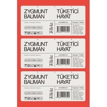 Sungur's Store Tüketici Hayat - Ekonomi ve Toplum Üzerine Derinlemesine Analiz