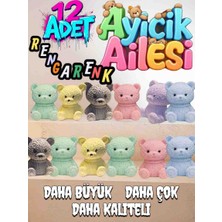 Hbnc 12’li Rengarenk Taştozu Ayıcık Seti – El Yapımı Dekoratif Figürler