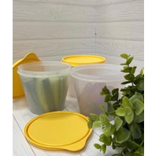 Die Grup Tupperware 2 Adet 800 ml Saklama Kabı.