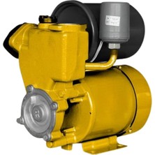 Die Grup Rtrmax RTM863 370 Watt/0.5hp 1'' 35 M Hidrofor, Yeşil