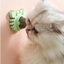 Die Grup Yengeç Kedi Otu Oyun Topu