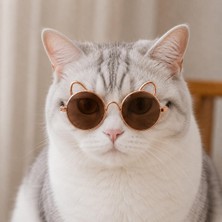 Die Grup Kulaklı Kedi Güneş Gözlüğü 8 cm (Kahverengi)