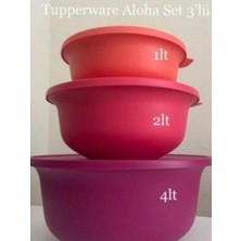 Die Grup Tupperware Aloha Set Bordo