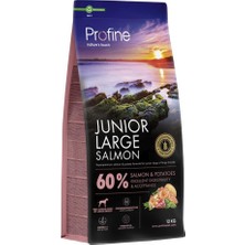 Die Grup Profine 12KG Gluten Free Junior Large Salmon Glutensiz Iri Irk Somon Etli Yavru Köpek Maması