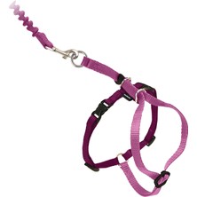Die Grup Petsafe Come With Me Kitty Koşum Takımı ve Bungee Tasma, Kediler Için Koşum, Büyük, Tozlu Gül/bordo