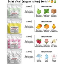 Ondéle Scent Pod | 10’lu Uzman Koleksiyon Serisi Hazır Koku Setleri Éclat Vital (Yaşam Işıltısı)