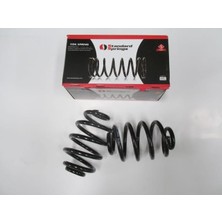 Oto101 Bmw 3 Serı- E30- 84/91; Arka Helezon Yayı Sağ/sol Aynı (2li SET)316İ/318/320 (Stdr)