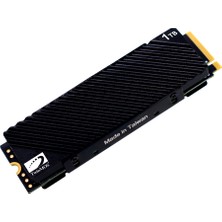 TeknoKapsül Twinmos NV1TBG42280, 1tb, 7500-6800MB/S, Gen4, Nvme Pcıe M.2 2280, Ssd, Tlc 3dnand (Soğutuculu)