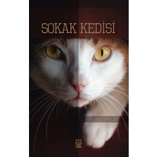 Luna Yayınları Sokak Kedisi