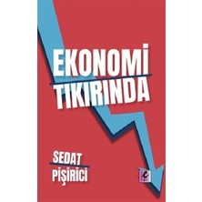 Efil Yayınevi Ekonomi Tıkırında