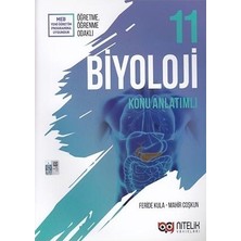 Nitelik Yayınları 11. Sınıf Biyoloji Konu Anlatımlı
