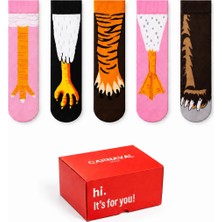 Carnaval Socks Tavuk Ayağı ve Hayvan Pençesi Desenli 5\'li Kutulu Çorap Seti