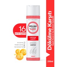 Kepek Karşıtı ve Dökülme Karşıtı Şampuan 250 ml - 16 Aktif Içerikli, Biotin, Keratin ve B5 Vitaminli Profesyonel Bakım