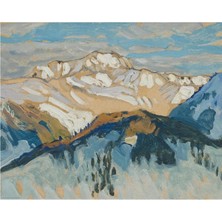 TARNA Bild Cok Renkli 50X40 cm Poster