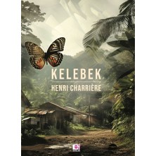 Hatıra Kutusu Kelebek