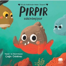 Hatıra Kutusu Pırpır Sakinleşiyor