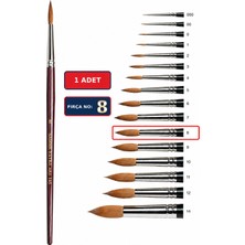 Samur Extra Art 145 Seri No:8 Yuvarlak Uç Suluboya ve Resim Fırçası Tekli