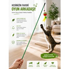 Mianna Kedi Oyun Oltası Tüylü Zilli Toplu İnteraktif Kedi Oyuncağı Renkli Tüy ve Çıngıraklı Oyun Oltası